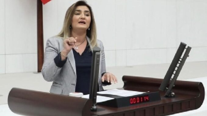 chp-milletvekili-sevda-erdan-kilic-izmirdeki-okul-kiralama-ihalesini-meclis-gundemine-tasidi-DDYDd5bM.jpg