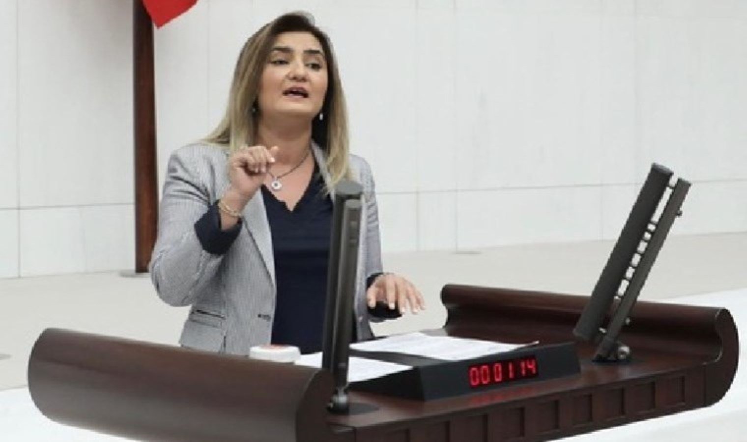 chp-milletvekili-sevda-erdan-kilic-izmirdeki-okul-kiralama-ihalesini-meclis-gundemine-tasidi-DDYDd5bM.jpg