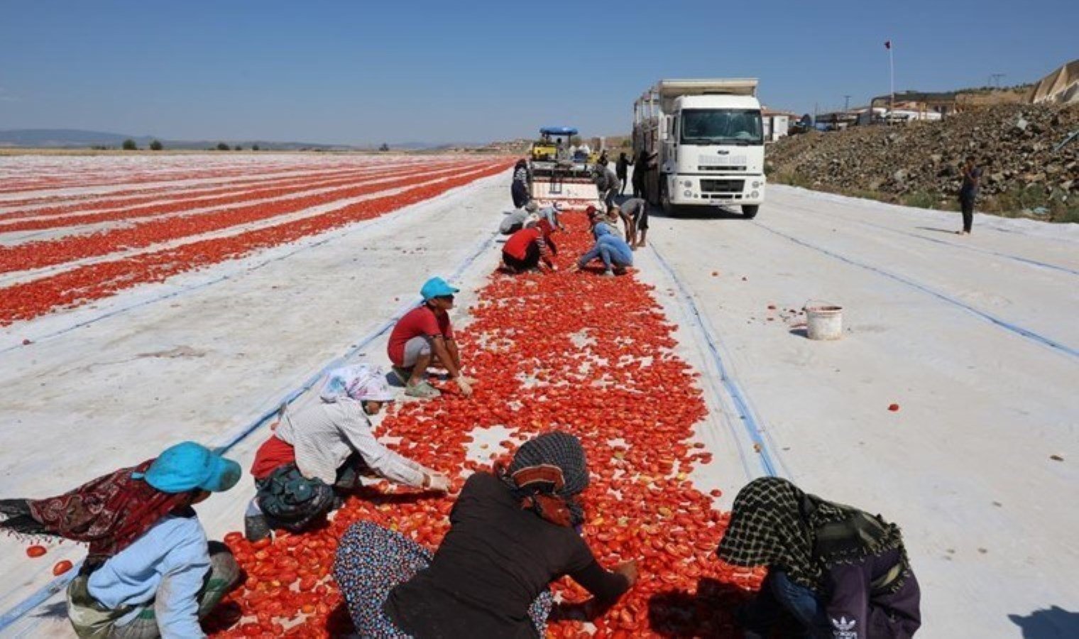deprem-sonrasi-tarimda-yeniden-dogus-turkoglunda-kuru-domates-uretimi-hTBzWdjL.jpg