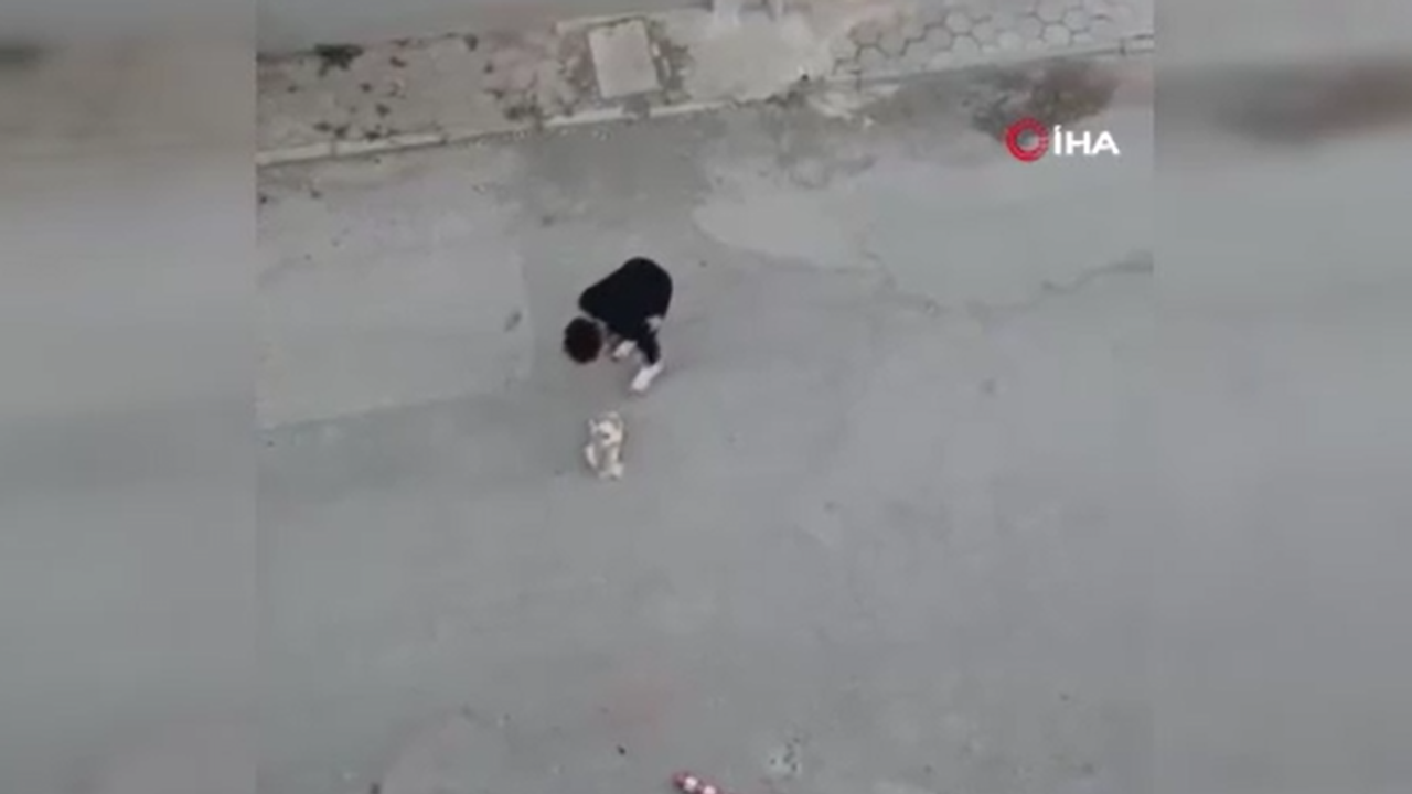 eskisehirde-kopege-eziyet-eden-sahis-gozaltina-alindi-6htSpvRx.png eskisehirde-kopege-eziyet-eden-sahis-gozaltina-alindi-6htSpvRx.png