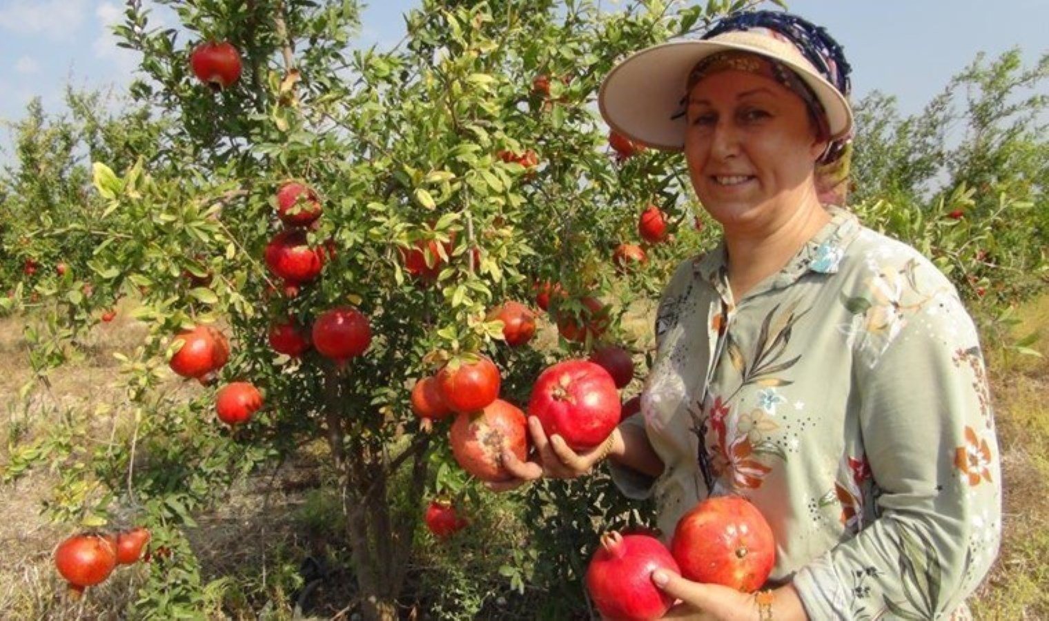 wonderful-cinsi-nar-hasadi-ile-yeni-donem-YSkLswW7.jpg
