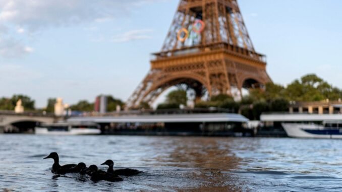 yuzmek-guvenli-degil-paris-olimpiyatlari-seine-su-kalitesi-endiseleri-nedeniyle-iptal-edildi-r4V82h1N.jpg