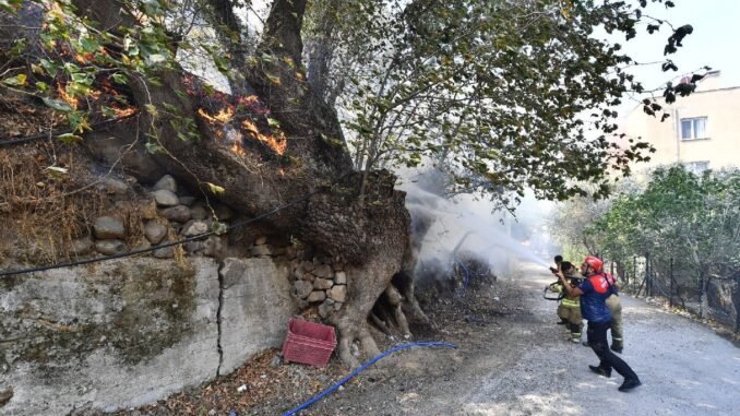 İzmir İtfaiyesi, Son 20 Yılın En Zorlu Yazını Geride Bıraktı