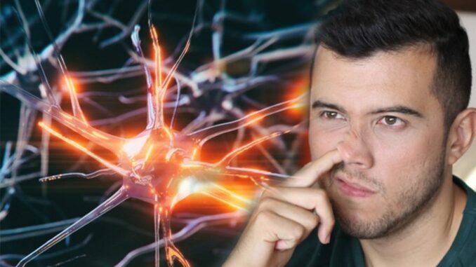 alzheimer-hastaligi-risk-faktorleri-ve-korunma-yontemleri-QJA3ny6s.jpg