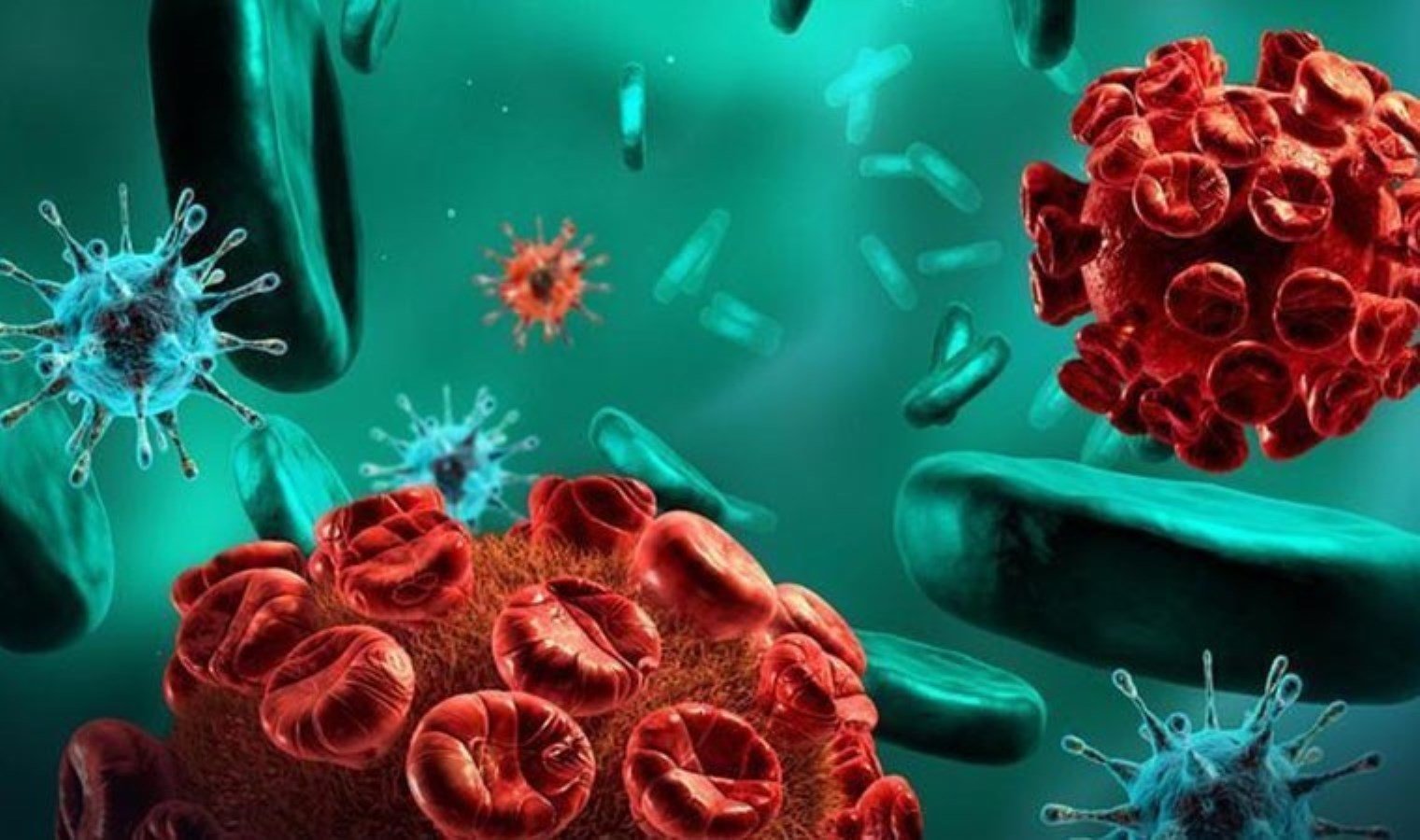 dunya-sepsis-gunu-sepsisin-tehlikeleri-ve-onlemleri-gzS6LD4M.jpg