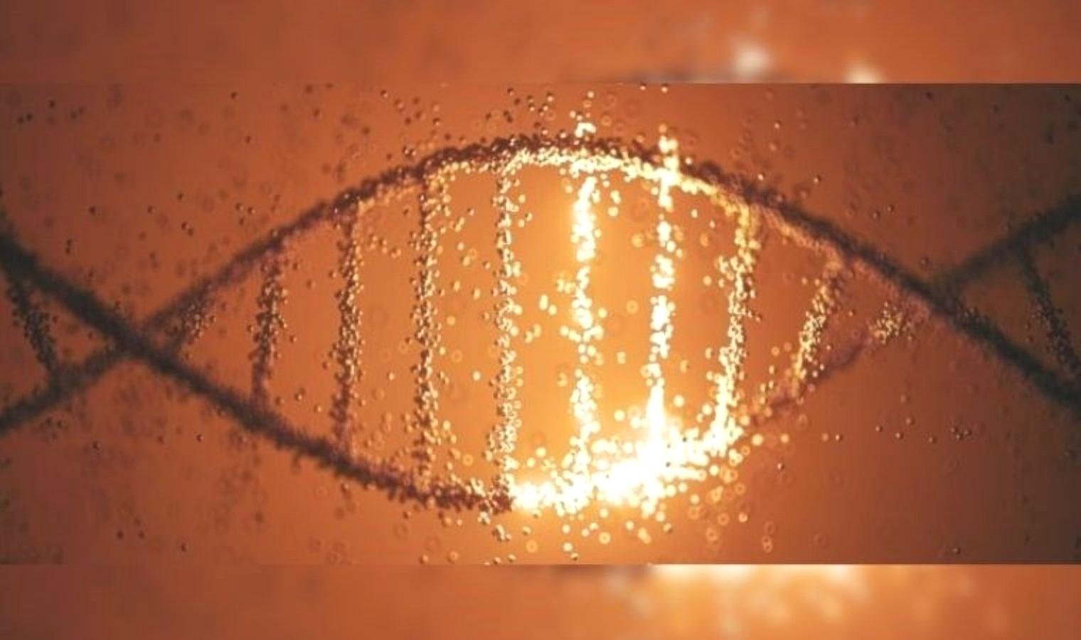 guney-afrikadaki-10000-yillik-genetik-kesifler-LKOdUSX9.jpg guney-afrikadaki-10000-yillik-genetik-kesifler-LKOdUSX9.jpg