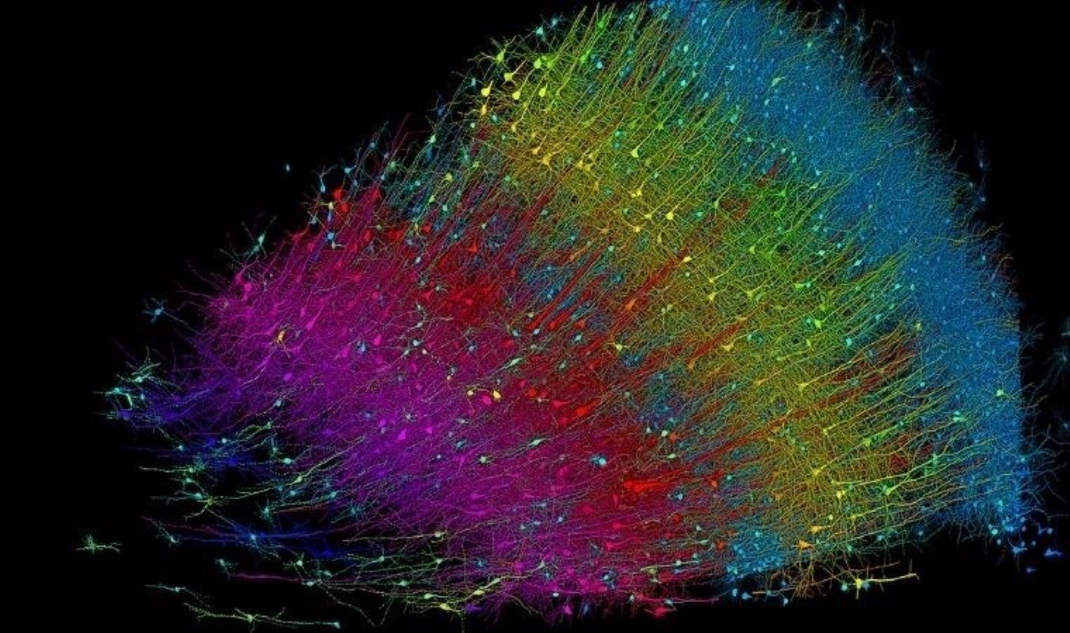 insan-beyninin-en-detayli-haritasi-cikarildi-qMp3SXyL.jpg insan-beyninin-en-detayli-haritasi-cikarildi-qMp3SXyL.jpg