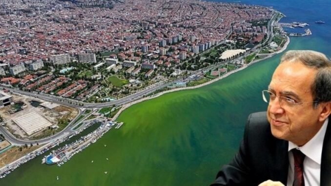 izmir-korfezi-ve-ormanlik-alanlarin-cevresel-degerlendirmesi-Tjug5J7u.jpg
