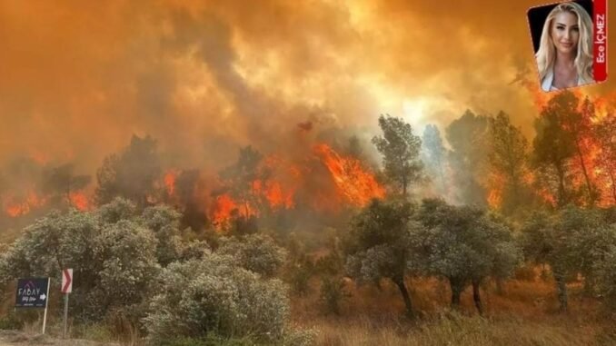 izmirdeki-orman-yangini-ve-hukuk-mucadelesi-1u2JZcwa.jpg