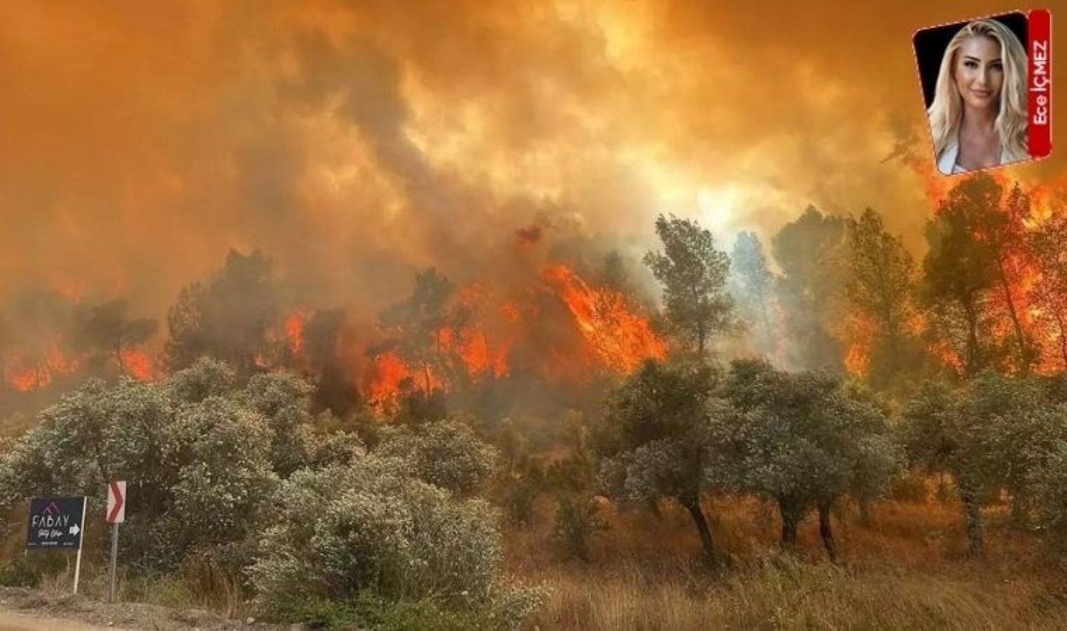 izmirdeki-orman-yangini-ve-hukuk-mucadelesi-1u2JZcwa.jpg izmirdeki-orman-yangini-ve-hukuk-mucadelesi-1u2JZcwa.jpg