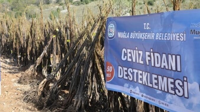 muglada-yangin-sonrasi-tarima-destek-her-kapida-bir-fidan-projesi-UacEMK66.jpg