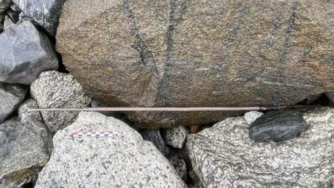 norvecte-1300-yillik-viking-okunun-kesfi-M9tVnbKQ.jpg