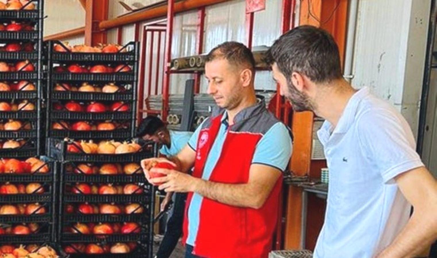 ortacada-nar-hasadi-verimli-rekolte-ve-ihracat-surecleri-4ky8Ojqu.jpg ortacada-nar-hasadi-verimli-rekolte-ve-ihracat-surecleri-4ky8Ojqu.jpg