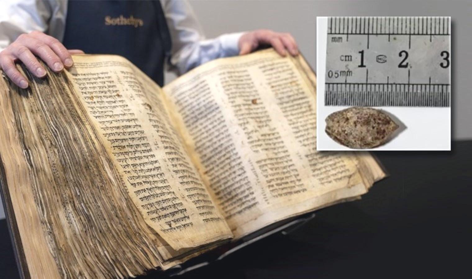 sheba-agaci-antik-zamanlarin-sifali-kaynagi-vbVBhkUv.jpg sheba-agaci-antik-zamanlarin-sifali-kaynagi-vbVBhkUv.jpg