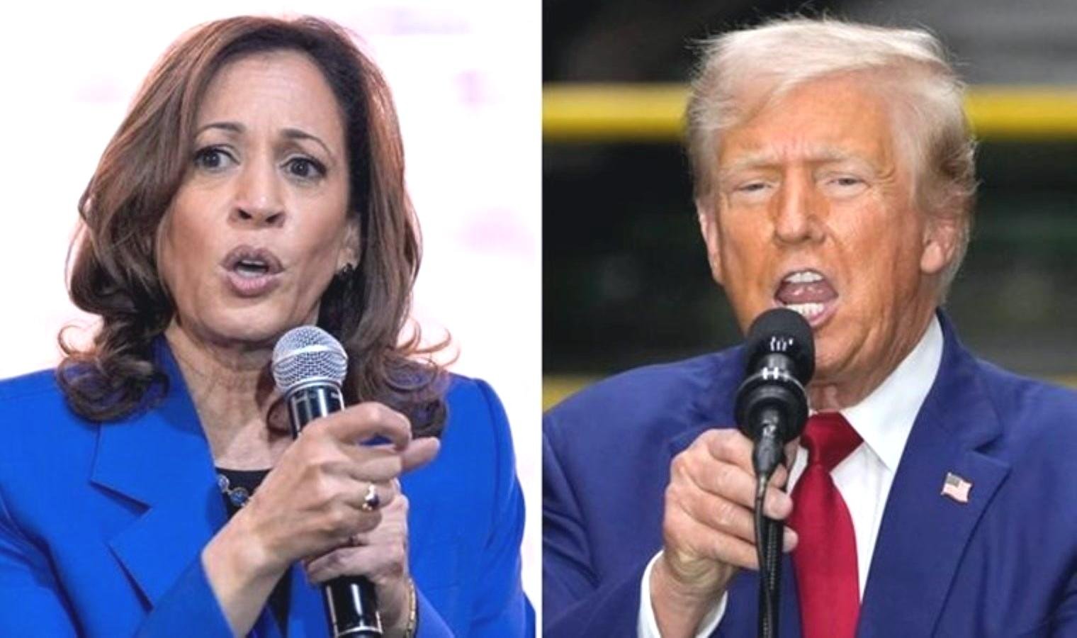 trump-googlea-dava-acma-tehdidinde-bulundu-5Vcu7wbu.jpg trump-googlea-dava-acma-tehdidinde-bulundu-5Vcu7wbu.jpg