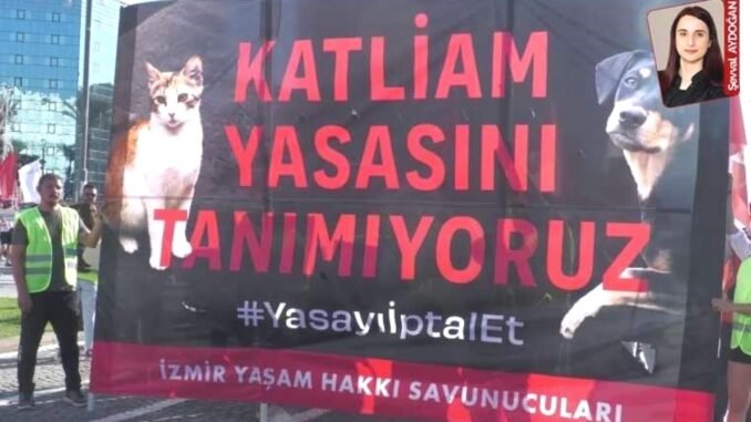 4-ekim-dunya-hayvanlari-koruma-gunu-hayvan-haklari-ve-farkindalik-dcRJRCsJ.jpg