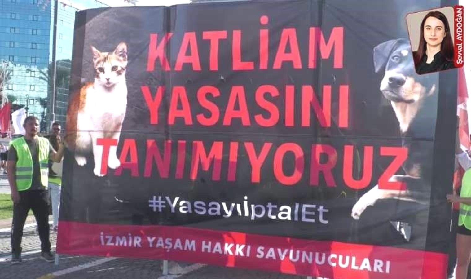 4-ekim-dunya-hayvanlari-koruma-gunu-hayvan-haklari-ve-farkindalik-dcRJRCsJ.jpg 4-ekim-dunya-hayvanlari-koruma-gunu-hayvan-haklari-ve-farkindalik-dcRJRCsJ.jpg