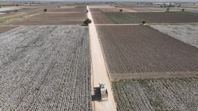 İzmir'de 200 Kilometre Ova Yolu Kaplandı