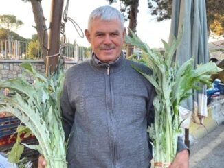 Aydın'ın Gölhisar Mahallesi'nde Enginar Sezonu Başladı - Merhaba İzmir