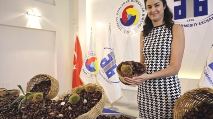 aydinin-kestane-uretimi-ve-ekonomik-onemi-JWIMHyvw.jpg