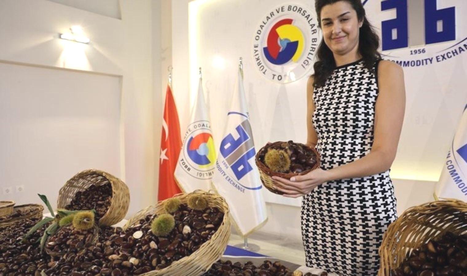 aydinin-kestane-uretimi-ve-ekonomik-onemi-JWIMHyvw.jpg
