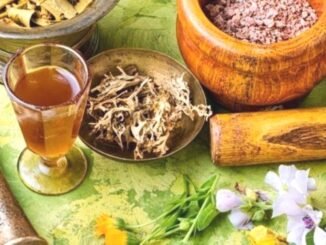 Doğal Antibiyotikler ile Bağışıklık Sistemini Güçlendirin - Merhaba İzmir