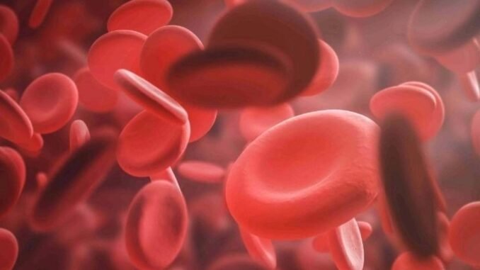 eritrosit-rbc-dusuklugu-nedir-nedenleri-ve-belirtileri-z7imxwOr.jpg