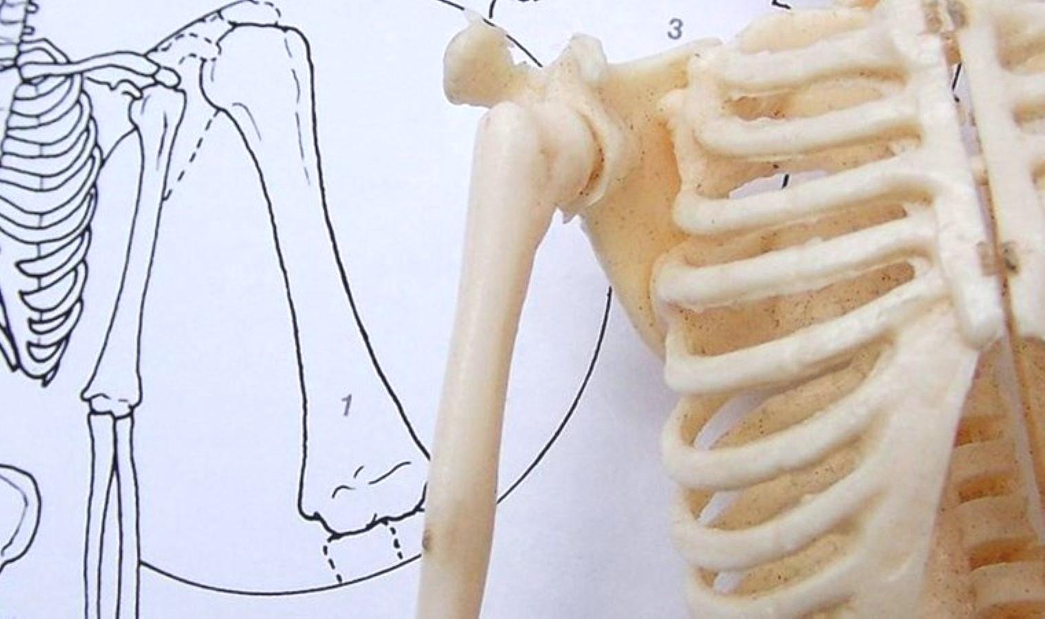 kemik-sagligi-icin-onemli-vitaminler-EBIOBVzK.jpg kemik-sagligi-icin-onemli-vitaminler-EBIOBVzK.jpg