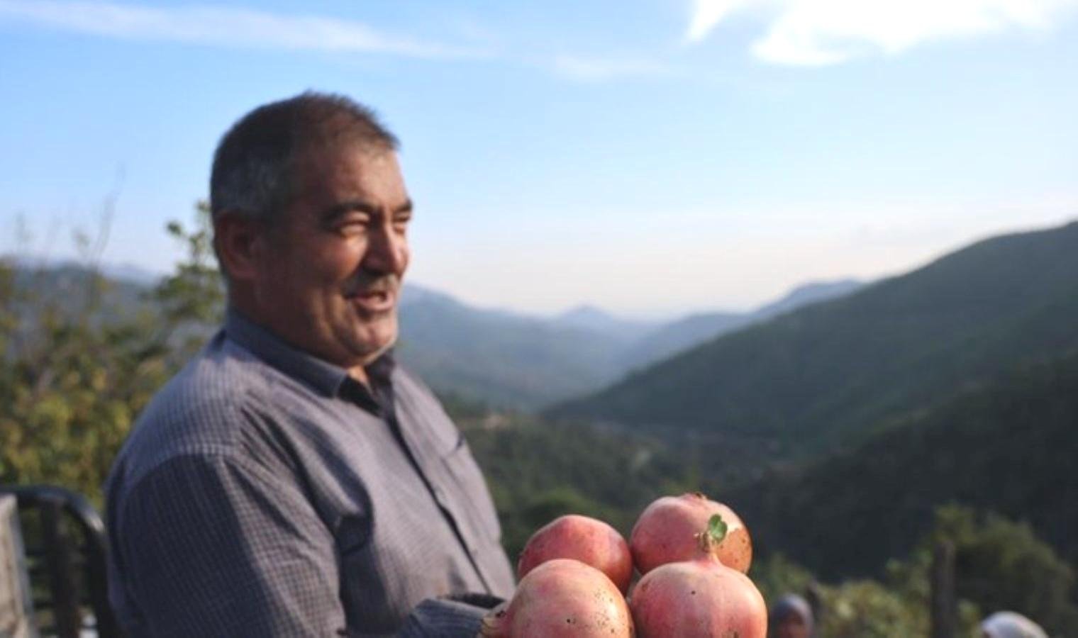 kuytucak-mahallesinde-nar-hasadi-basladi-MGBF4U6c.jpg kuytucak-mahallesinde-nar-hasadi-basladi-MGBF4U6c.jpg