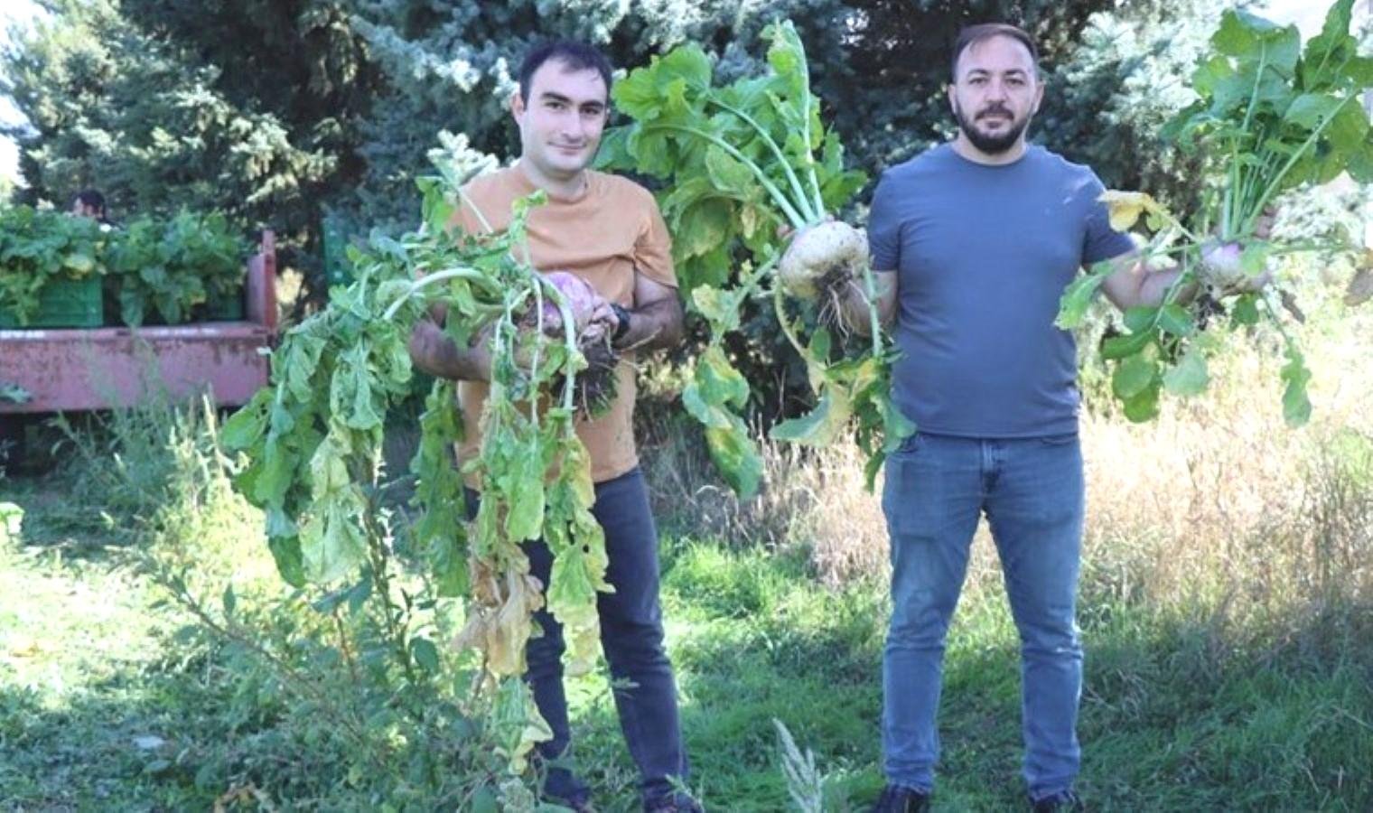 salgamin-saglik-faydalari-ve-tarimsal-potansiyeli-p1O2rNTA.jpg