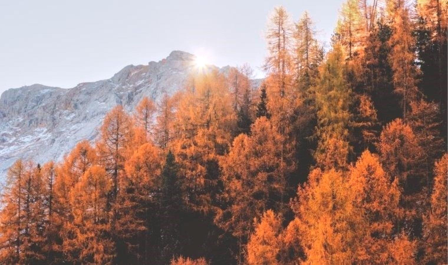 sicaklik-algisi-mevsimlerin-etkisi-ve-biyolojik-faktorler-gsRF3KZm.jpg sicaklik-algisi-mevsimlerin-etkisi-ve-biyolojik-faktorler-gsRF3KZm.jpg