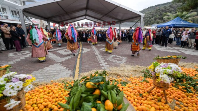 Gümüldür Özdere Mandalina Festivali Başladı