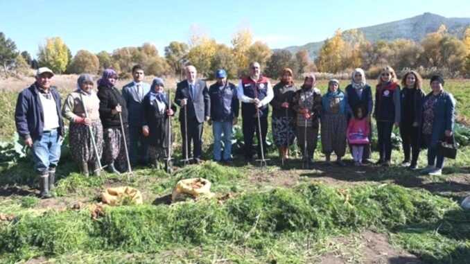 denizli-cakir-mahallesinde-havuc-hasadi-basladi-2h7Z5BOw.jpg