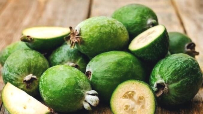 feijoa-meyvesi-faydalari-ve-tuketim-yontemleri-NLGq8pP5.jpg