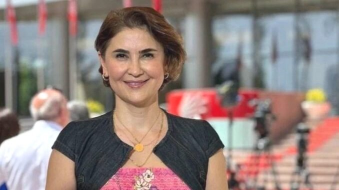 hilal-koylu-gazeteci-yazar-ve-siyaset-yorumcusu-tipl5j2t.jpg