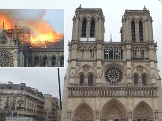 Notre Dame Katedrali'nde Restorasyon Çalışmaları Tamamlanmak Üzere - Merhaba İzmir