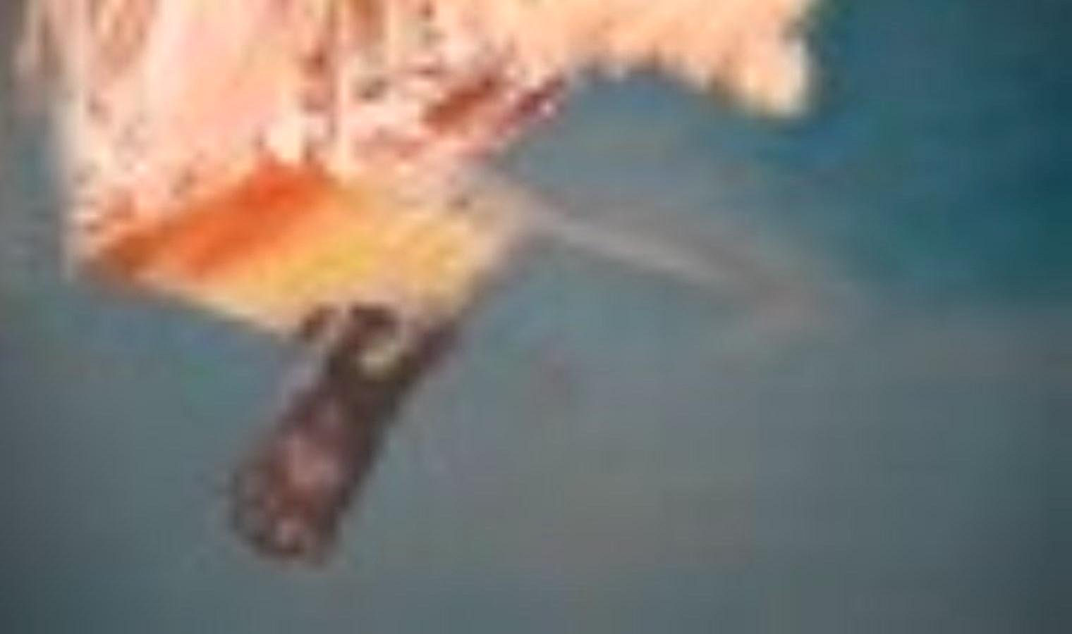 ozge-gokbulut-ozdemirin-bir-sokak-kedisi-sergisi-krisna-sanat-merkezinde-bvdHDxAX.jpg ozge-gokbulut-ozdemirin-bir-sokak-kedisi-sergisi-krisna-sanat-merkezinde-bvdHDxAX.jpg