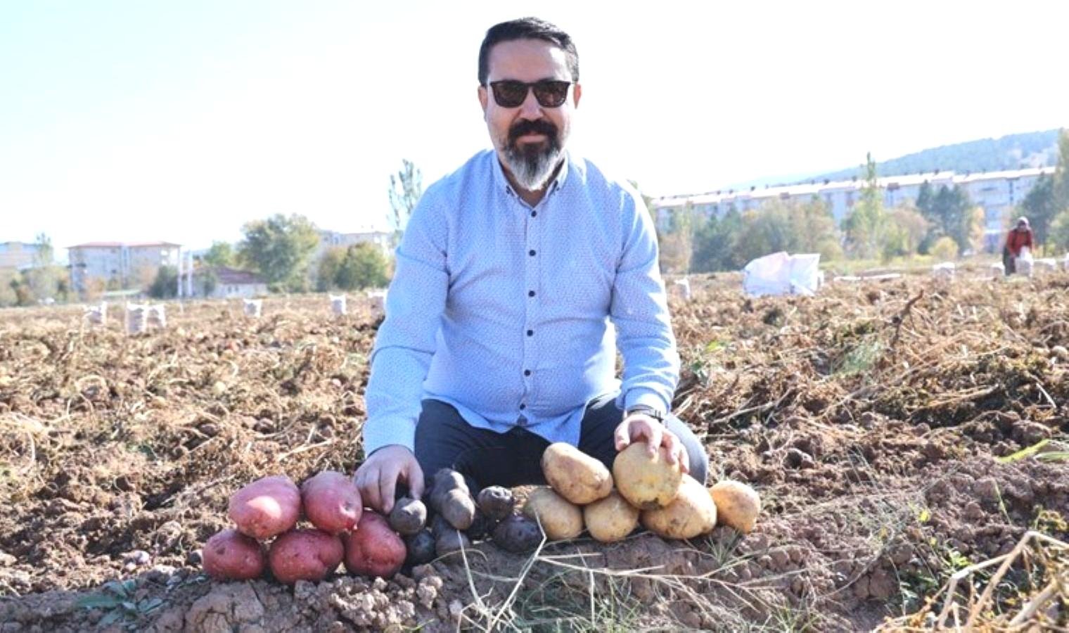 sivasta-alternatif-tarim-calismalari-ve-mor-patates-uretimi-6vkLjaZm.jpg sivasta-alternatif-tarim-calismalari-ve-mor-patates-uretimi-6vkLjaZm.jpg