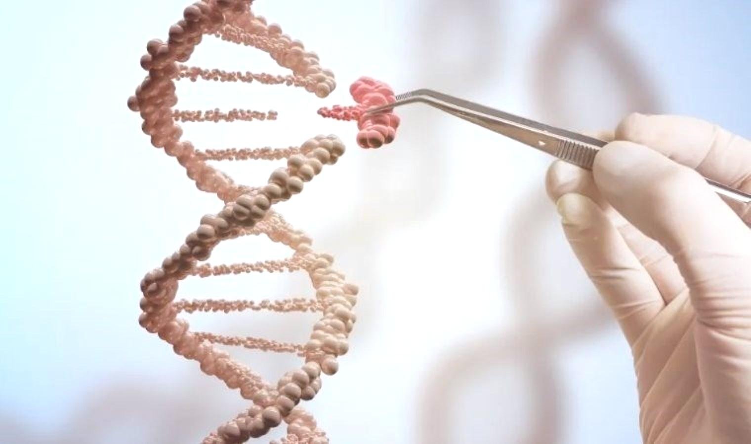 yaslanma-surecini-yavaslatma-potansiyeli-f-actin-proteini-uzerine-yapilan-arastirmalar-8s3wN1QP.jpg yaslanma-surecini-yavaslatma-potansiyeli-f-actin-proteini-uzerine-yapilan-arastirmalar-8s3wN1QP.jpg