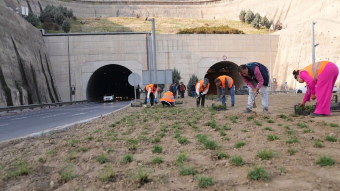 Kuraklığa Karşı İzmir’in Yeşil Örtüsünde Dönüşüm