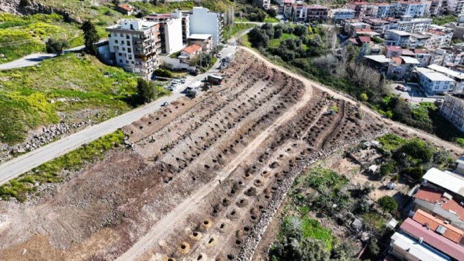 Bornova’da Bin Ağaçlık Orman Hayata Geçiyor