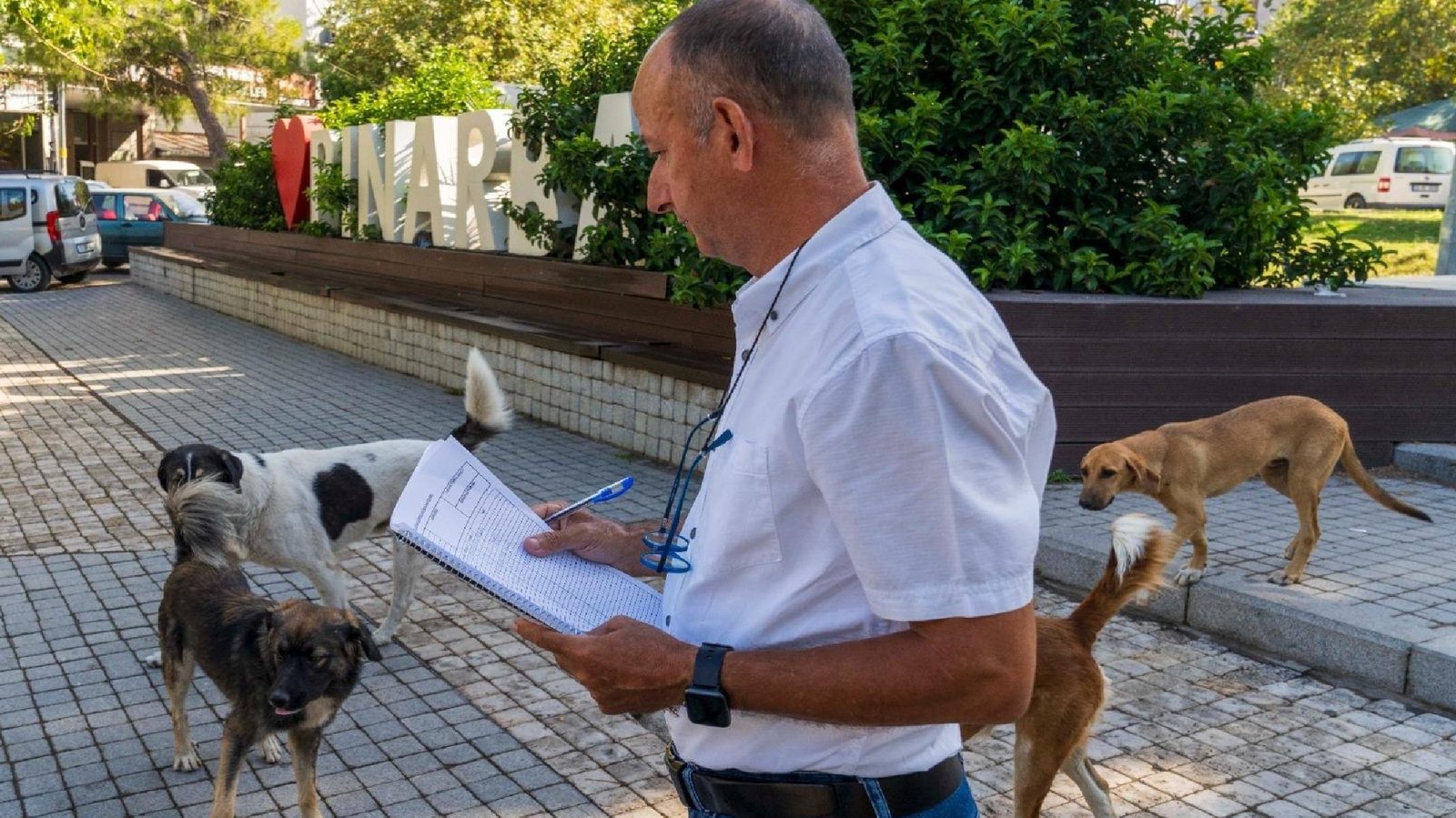 İzmir’de 15 Bin Sahipsiz Köpek Tespit Edildi