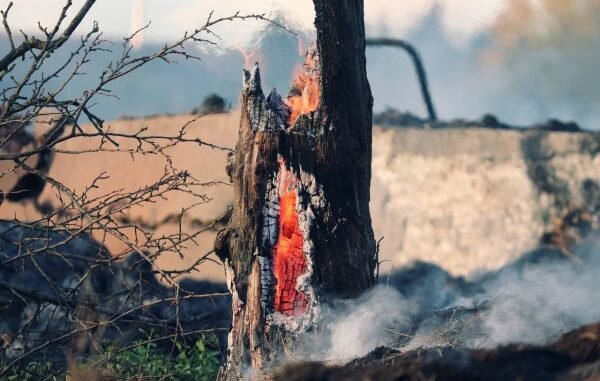 Aliağa’da Yangına Müdahale Sürüyor