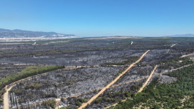 İzmir’de Yangın Hasarı Buca’nın 2 Katı