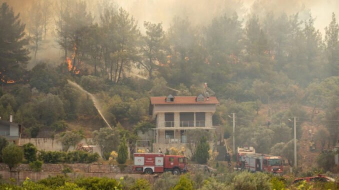 İzmir’de Yangınlarda 10 Bin Hektar Alan Zarar Gördü