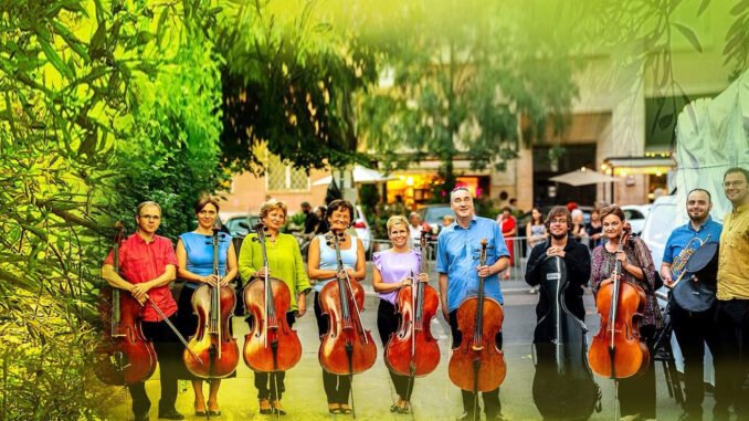 İzmir’de Zeytin Altında Cello Ezgileri