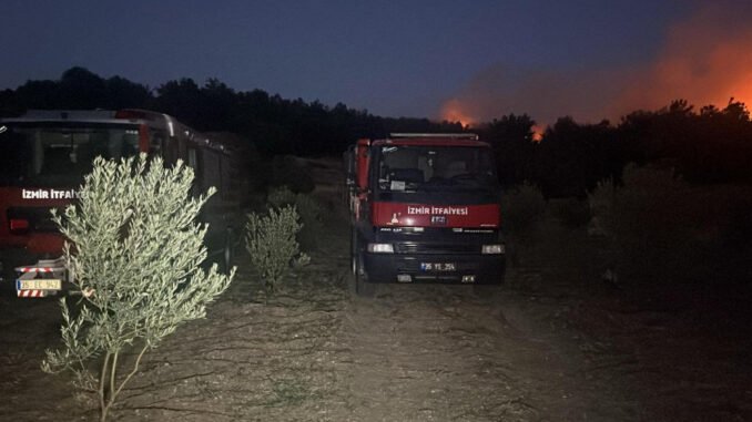 Urla’daki Orman Yangını Kontrol Altında