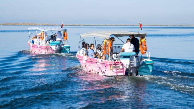 İZDENİZ’den Flamingo Yolu Turları Yeniden Başladı
