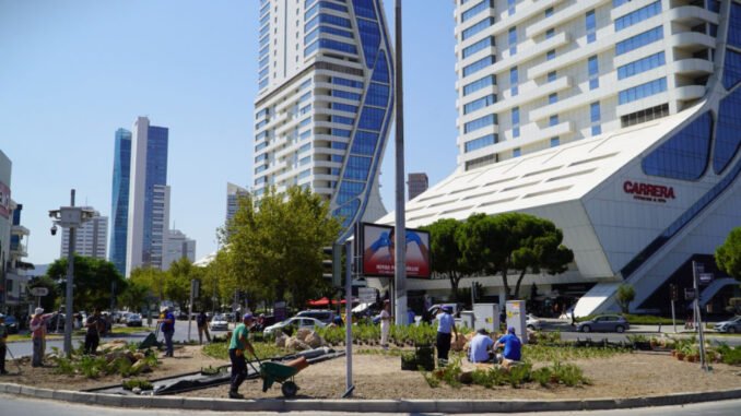 İzmir’de Kavşak Peyzajında Susuzluğa Dayanıklı Bitkiler