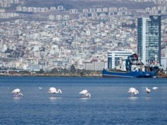 İzmir’de Kiralar 20 Kat Arttı - Merhaba İzmir